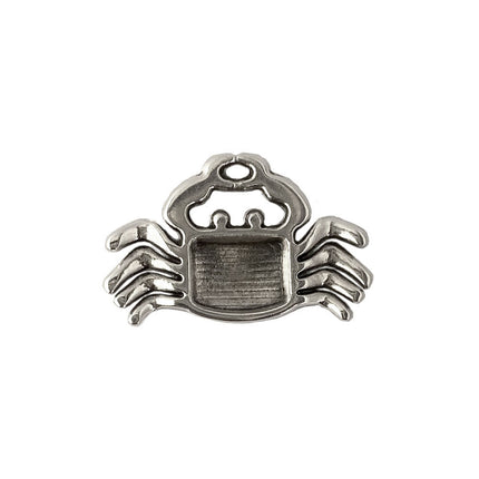 back of the crab charm
