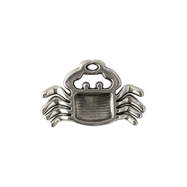 back of the crab charm