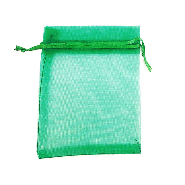 Green Chiffon Gift Bag