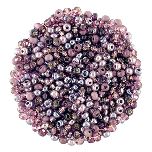 Size 6 purple seed